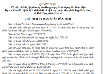 Gia Lai sắp đấu giá khu đô thị hơn 11.000 tỷ giữa đồi thông Đak Đoa - CafeLand.Vn - BDS Đô thị