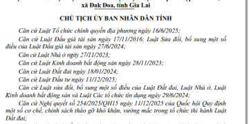 Gia Lai sắp đấu giá khu đô thị hơn 11.000 tỷ giữa đồi thông Đak Đoa - CafeLand.Vn - BDS Đô thị