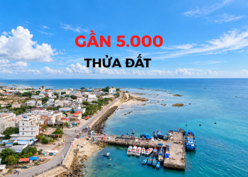 Gần 50.000 thửa đất ở Quảng Ngãi tiếp tục được làm sạch dữ liệu - CafeLand.Vn - BDS Đô thị