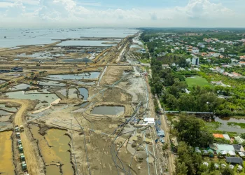 Toàn Cảnh Đại Lộ Thời Đại: Trục Xương Sống 120m Tại Vinhomes Green Paradise - BĐS Đô Thị