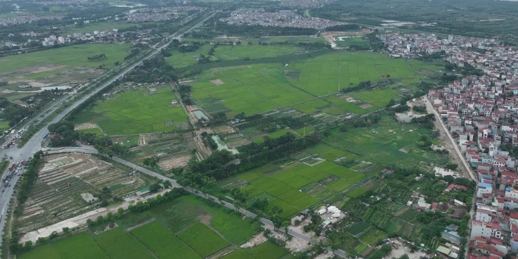 Hà Nội Giao Đất Gần Vinhomes Cổ Loa: Cơ Hội Đầu Tư Bất Động Sản?