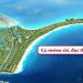 Đề Xuất Dự Án Đường Vượt Biển Cần Giờ - Bà Rịa Vũng Tàu (Cũ): Bước Đột Phá Hạ Tầng Kết Nối Vùng - BĐS Đô Thị